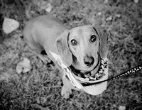 Blog