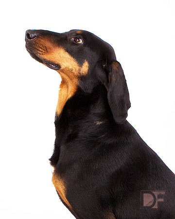 Tex