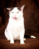 Gary