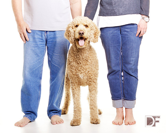 Olive & Family