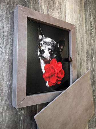 New Leather Box Set -Matching Cover