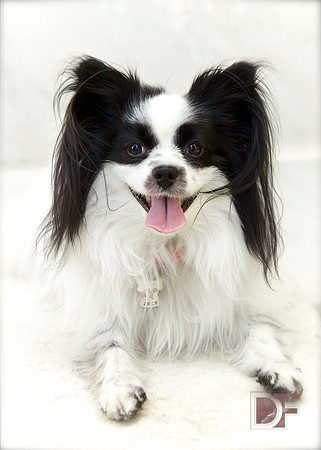 Zoey